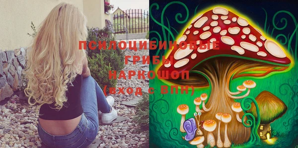 ПСИЛОЦИБИНОВЫЕ ГРИБЫ Медвежьегорск